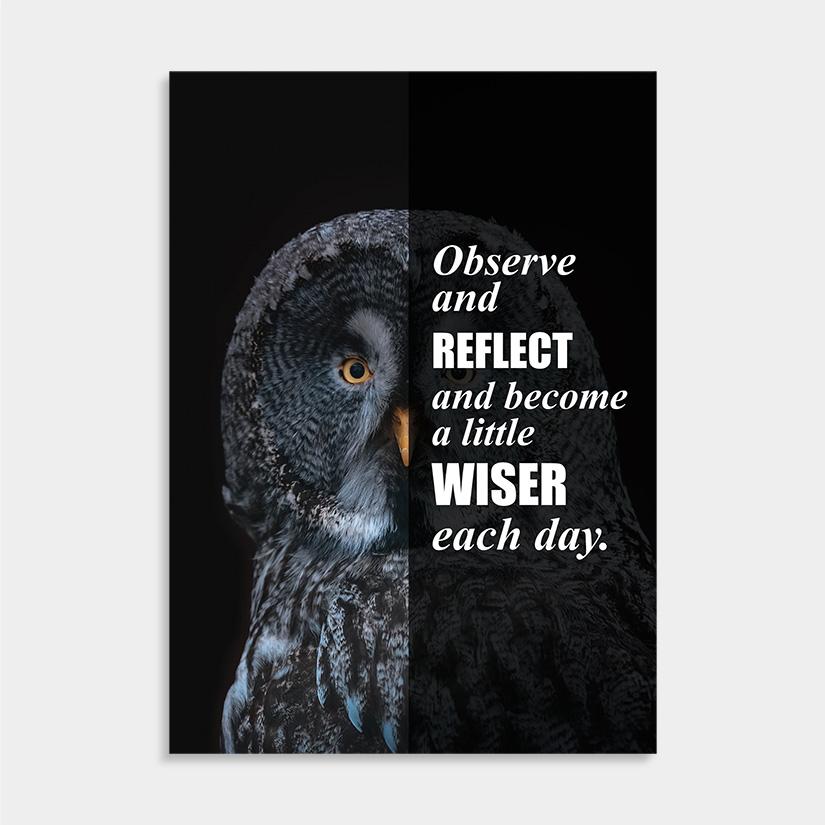 uil owl quote dieren
