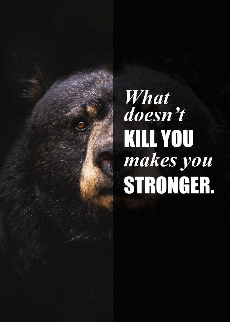 beer quotes zwart sterker