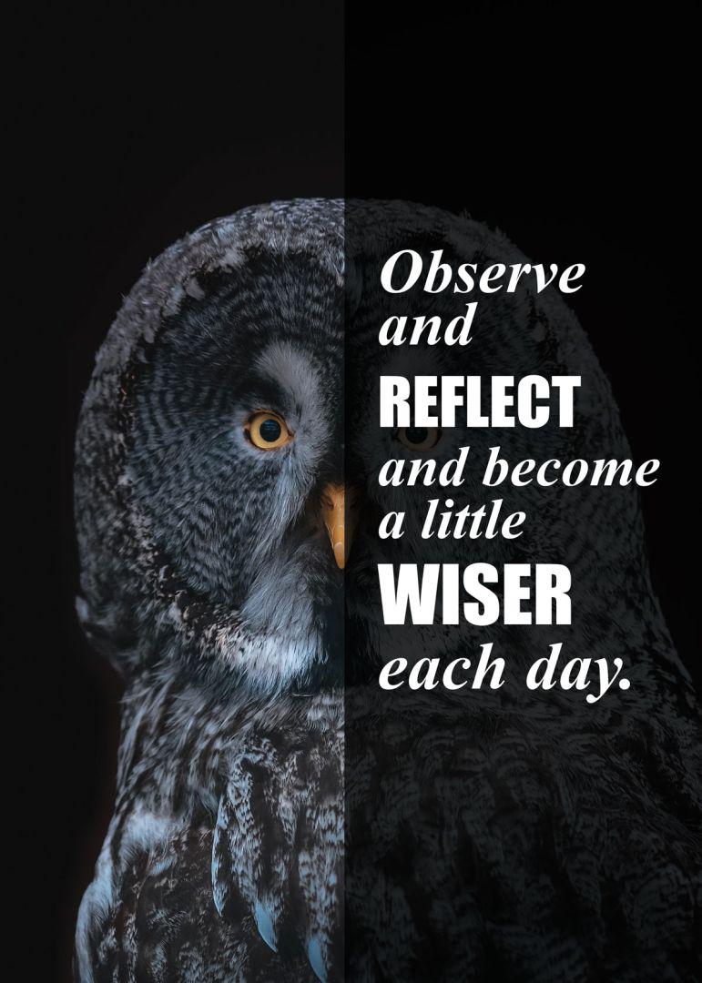 uil owl quote dieren