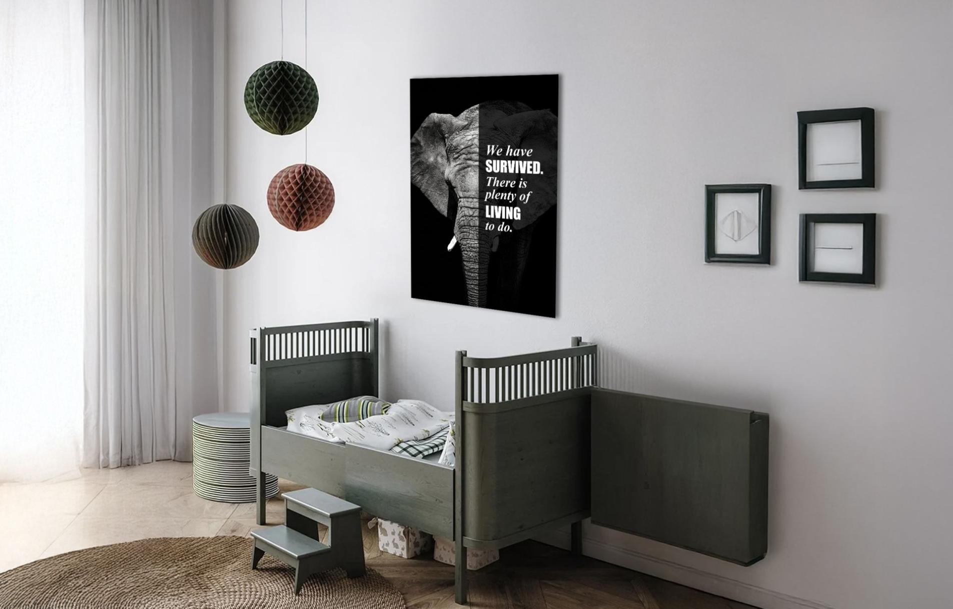 Kinderkamer jongens grijze muur met Animal Quote Olifant op de muur